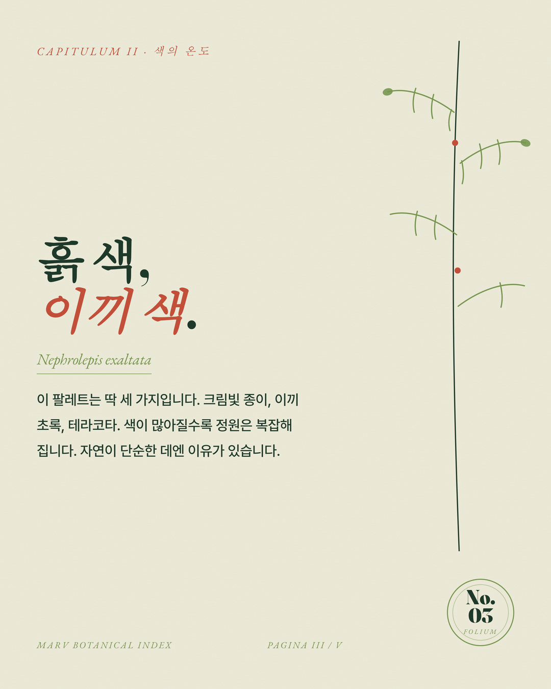 보태니컬 3페이지